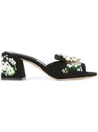 Dolce & Gabbana White Geranium Printed Mules - Black