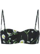 Dolce & Gabbana Daisy Balcony Bikini Top