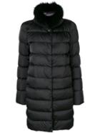 Herno - Classic Puffer Coat - Women - Feather Down/nylon/polyamide/goose Down - 44, Black, Feather Down/nylon/polyamide/goose Down