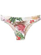 Lygia & Nanny Printed Bikini Briefs, Women's, Size: 40, Purple, Polyamide/spandex/elastane