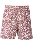 Loro Piana Printed Swimming Shorts - Red