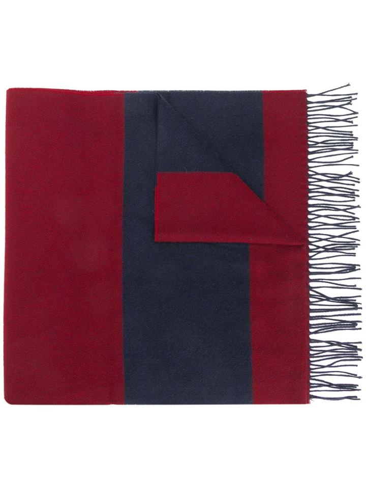 Ermenegildo Zegna Striped Scarf - Blue