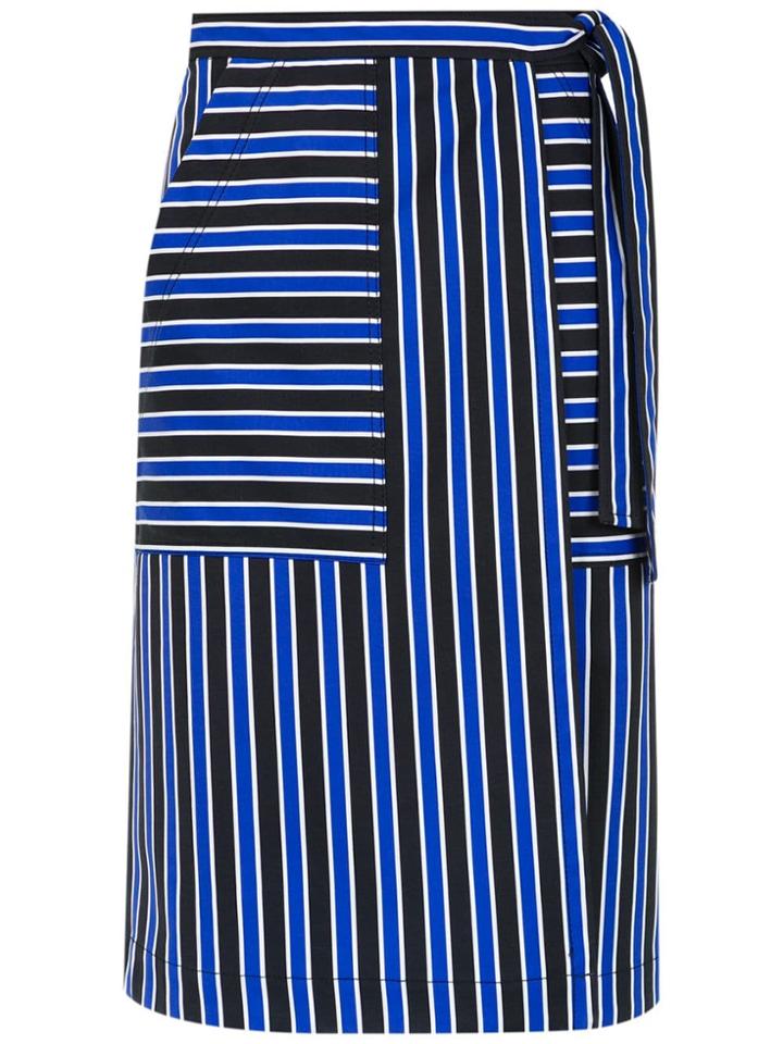 Reinaldo Lourenço Striped Skirt - Blue