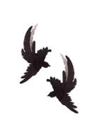 Olgafacesrok 'lucid Dream' Metal Feather Bird Earrings - Black