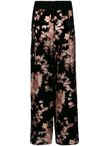 Myla Kensington Gardens Trousers - Black