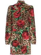 Dolce & Gabbana Rose And Leopard Print Mini Dress - Brown
