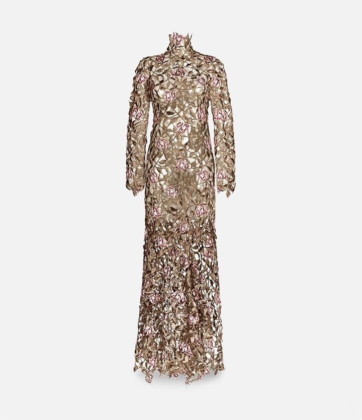 Christopher Kane Rose Embroidered Dress