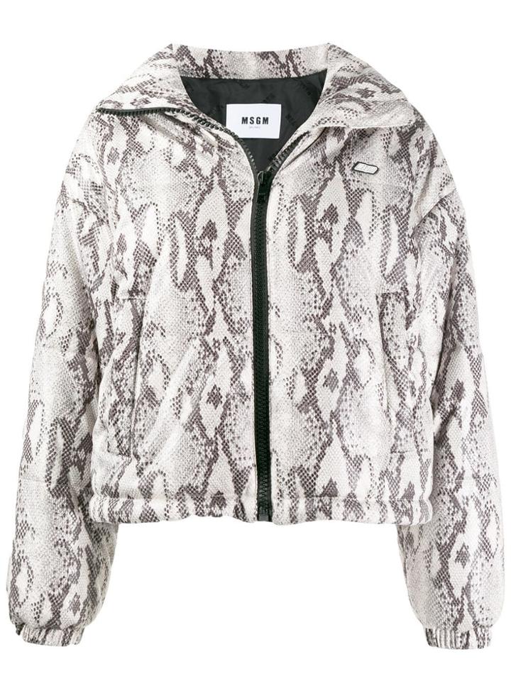Msgm Snake Print Zipped Jacket - Black