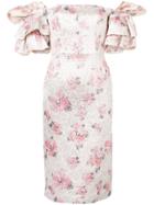 Alexa Chung Floral Puff-sleeve Dress - Silver