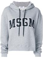 Msgm Logo Hoodie - Grey