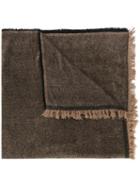 Faliero Sarti Fringe Trim Scarf - Brown