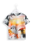 Stella Mccartney Kids 'arlo' Pegasus T-shirt