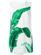 Dolce & Gabbana Banana Leaf Print Top, Women's, Size: 40, White, Viscose