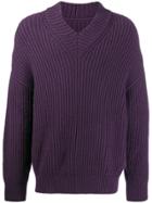 Nanushka Oversized V-neck Jumper - Purple