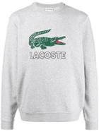 Lacoste Logo Print Sweatshirt - Grey