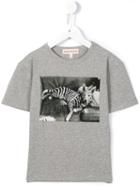Anne Kurris 'lou' Zebra T-shirt, Boy's, Size: 6 Yrs, Grey