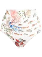 Patbo Fish Print High-waisted Bikini Bottom - White