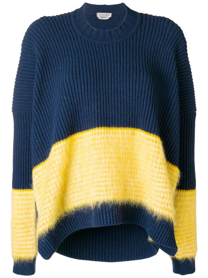 Sportmax Block Stripe Jumper - Blue