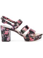 Jill Stuart Lou Sandals - Black