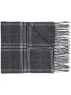 Canali Stripped Knitted Scarf - Grey