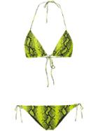 Off-white Python Print Bikini - Green