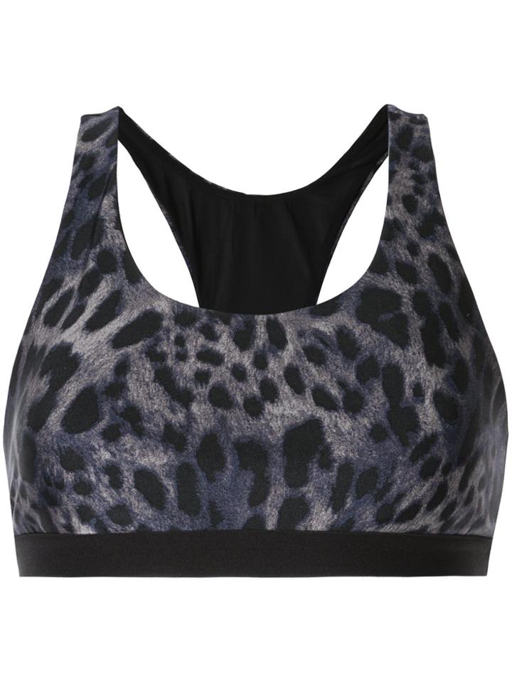 Koral Tax Cheetara Bra - Blue
