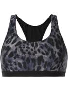 Koral Tax Cheetara Bra - Blue