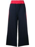 Tsumori Chisato Side Stripe Wide Leg Joggers - Blue