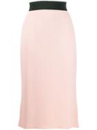 Dolce & Gabbana Scalloped Waistband Skirt - Pink