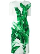 Dolce & Gabbana Banana Leaf Print Dress, Women's, Size: 44, White, Viscose/silk/spandex/elastane