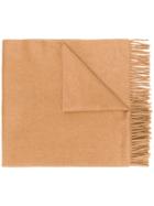 Max Mara Classic Scarf - Brown