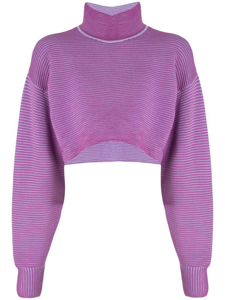 Nagnata Cropped Rib Sweater - Purple