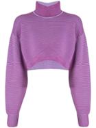 Nagnata Cropped Rib Sweater - Purple