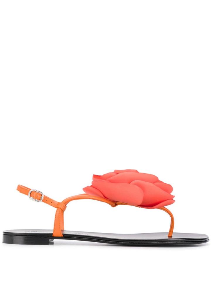 Giuseppe Zanotti Flower Detail Sandals - Orange