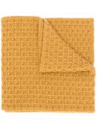 Holland & Holland Cashmere Knitted Scarf - Yellow