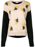 Sonia Rykiel Embroidered Jumper - Neutrals