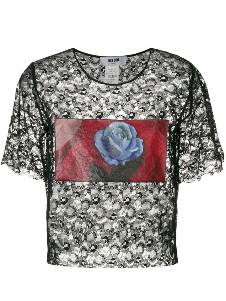 Msgm Photographic Flower Print Lace Top - Black