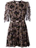 Giamba Floral Bee Print Mini Dress, Women's, Size: 38, Black, Silk/polyester