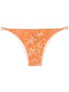 Clube Bossa Blume Printed Bikini Bottom - Orange