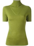 P.a.r.o.s.h. Ribbed Turtleneck Knitted Top, Women's, Size: Xs, Green, Wool