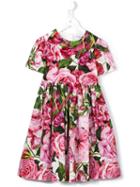 Dolce & Gabbana Kids Floral Poplin Dress, Girl's, Size: 8 Yrs, Pink