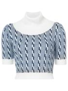 Emilia Wickstead Turtleneck Bib Front Knit Top - Blue