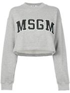 Msgm Cropped Logo Sweatshirt - Grey