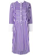 Maison Rabih Kayrouz Multi-stripe Shirt Dress - Pink & Purple