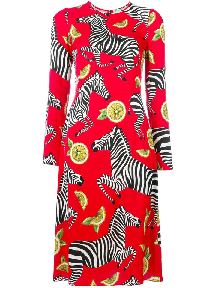 Dolce & Gabbana Zebra And Fruit Print Dress - Red