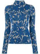 Christian Wijnants Striped Floral Sweater - Blue