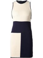 Calvin Klein Collection 'cardine' Dress
