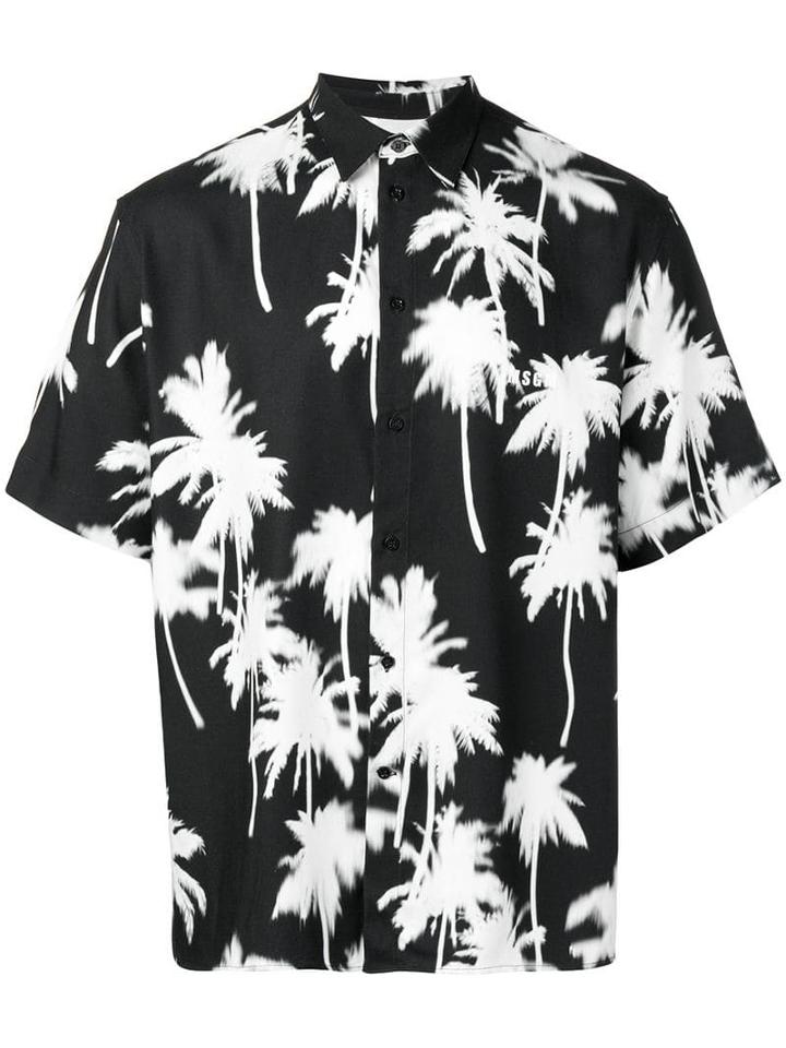 Msgm Palm Tree-print Shirt - Black