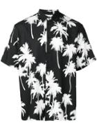 Msgm Palm Tree-print Shirt - Black