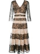 Carolina Herrera - Striped Lace Dress - Women - Nylon/polyamide/spandex/elastane - 4, Black, Nylon/polyamide/spandex/elastane
